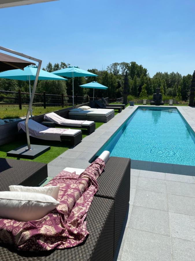 B&B La Douceur De La Miclette Ellezelles Zewnętrze zdjęcie