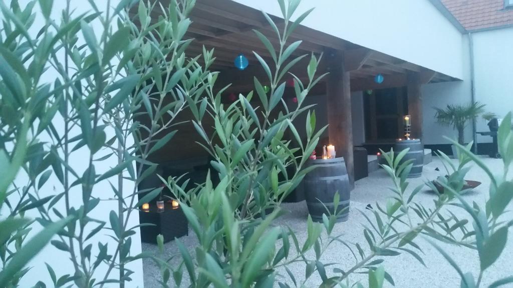 B&B La Douceur De La Miclette Ellezelles Zewnętrze zdjęcie