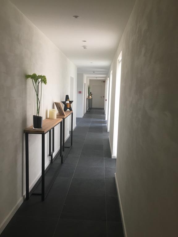 B&B La Douceur De La Miclette Ellezelles Zewnętrze zdjęcie