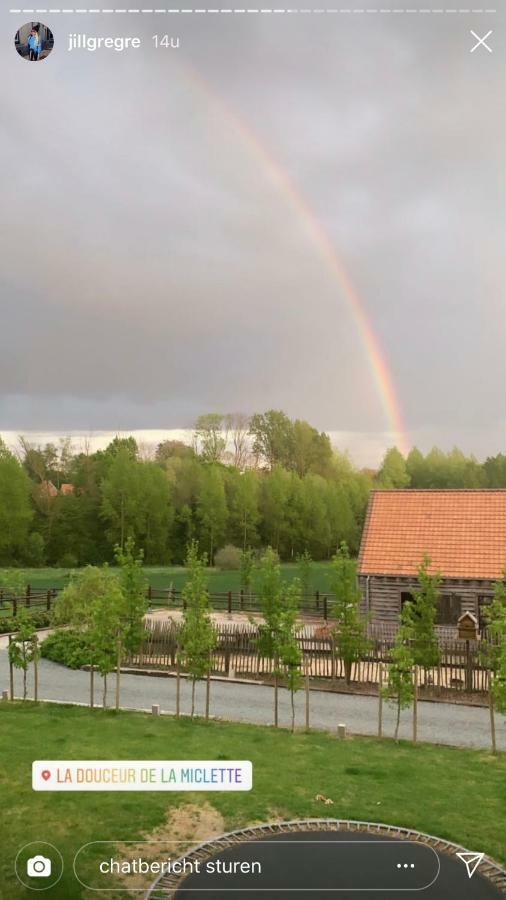 B&B La Douceur De La Miclette Ellezelles Zewnętrze zdjęcie